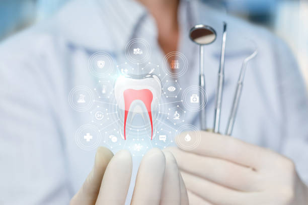 Best Traditional Braces  in Homestead, PA